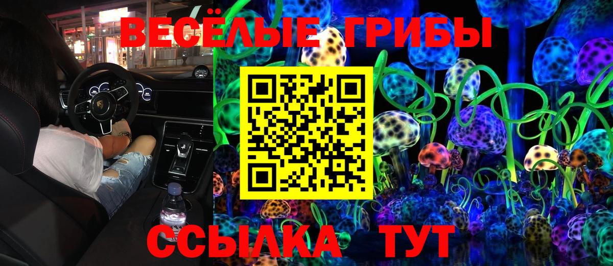 Галлюциногенные грибы Psilocybine cubensis Красноуфимск